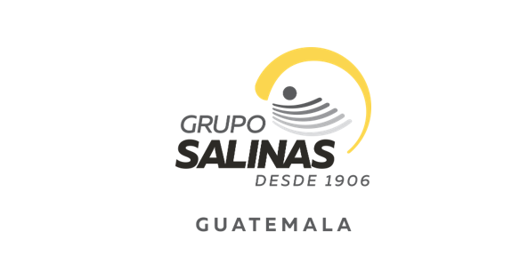 images/videos/grupo_salinas_logo.png
